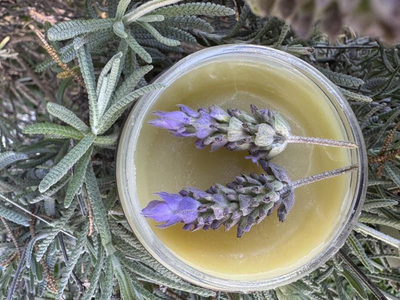 Imagen ilustrativa de UNGÜENTO DE LAVANDA Y CALÉNDULA 50cc